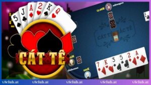 Cách chưng bài Catte